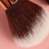 16 pc Beginners Makeup Kit Brush Set &amp; blending sponge